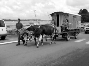 carabistouille thomas 2 ok