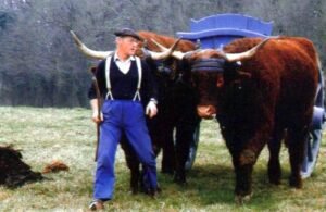 jacques macombes 2 ok