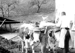 doc ecpad alsace 2 ok