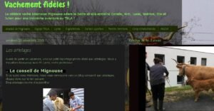 image blog oloron ok