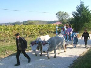 rivals françois 1 ok