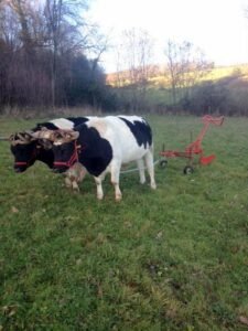 bernard l et a premier sillon jpg ok