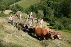 eric rousseaux F04 ok