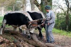 jean marc de berranger 3 ok