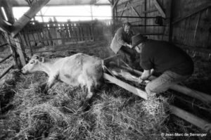 jean marc de berranger 8 ok