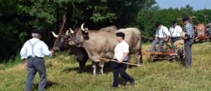 06032014531854510d3a0 r ok