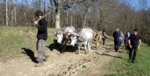 colloque ariège 2014 solène gaudin 1869 ok