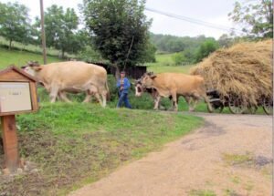 michel berne 2014 2 ok