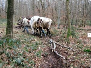 article l'éclaireur la dépêche 4 ok