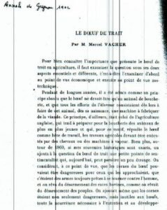 le boeuf de trait marcel vacher 1 ok