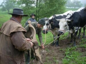 rencontres alsaces journée technique pk 2014 ok (3)