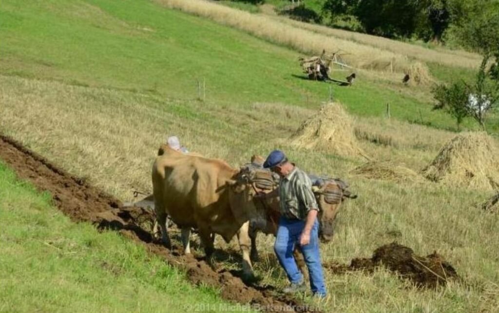 michel berne m bettendroffer 1 ok