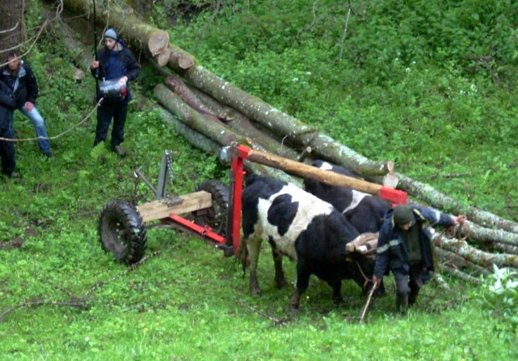 soultzeren 2015 29 ok