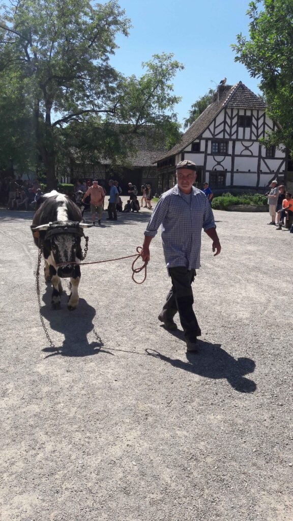 rencontres 2017 alsace ok (34)