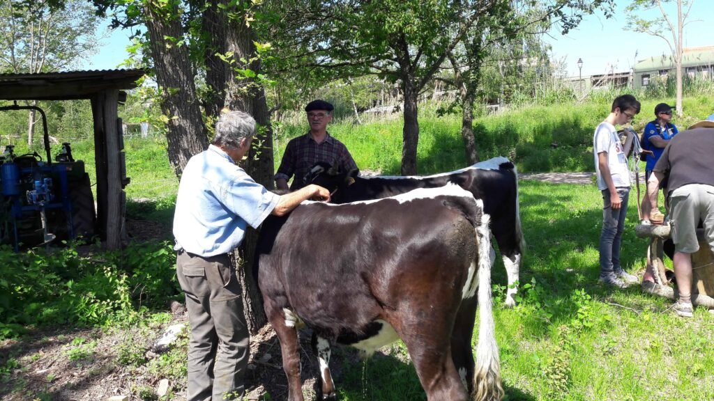 rencontres 2017 alsace ok (40)