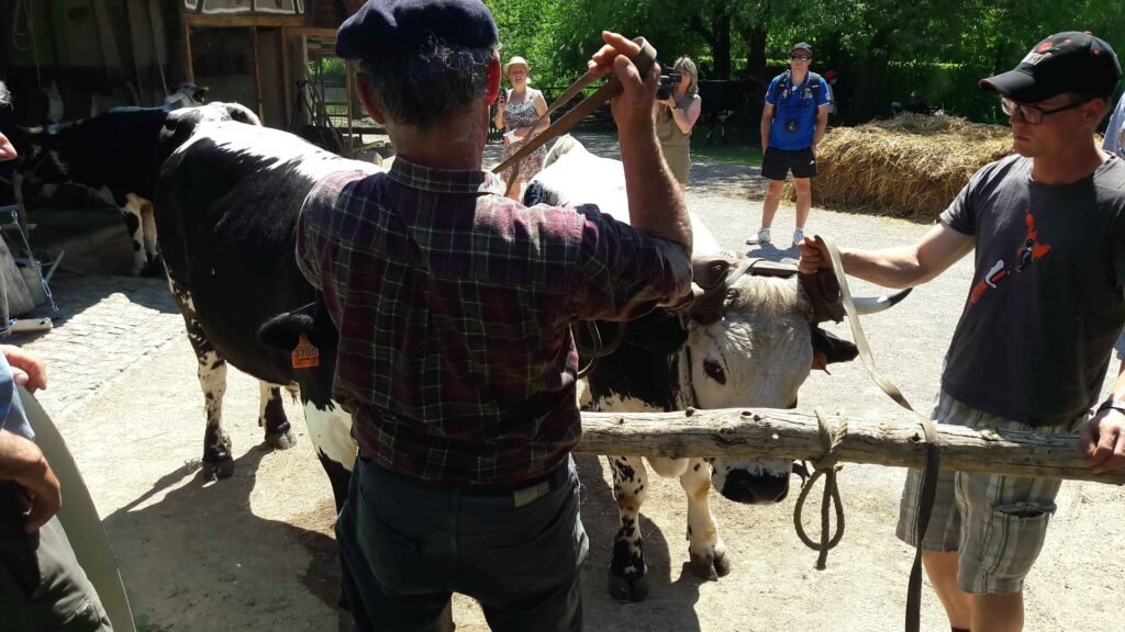 rencontres 2017 alsace ok (42)