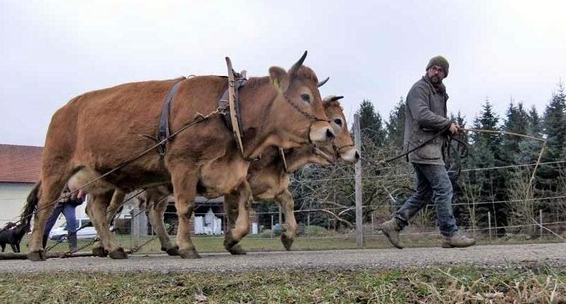 rencontres autriche 2018 ok