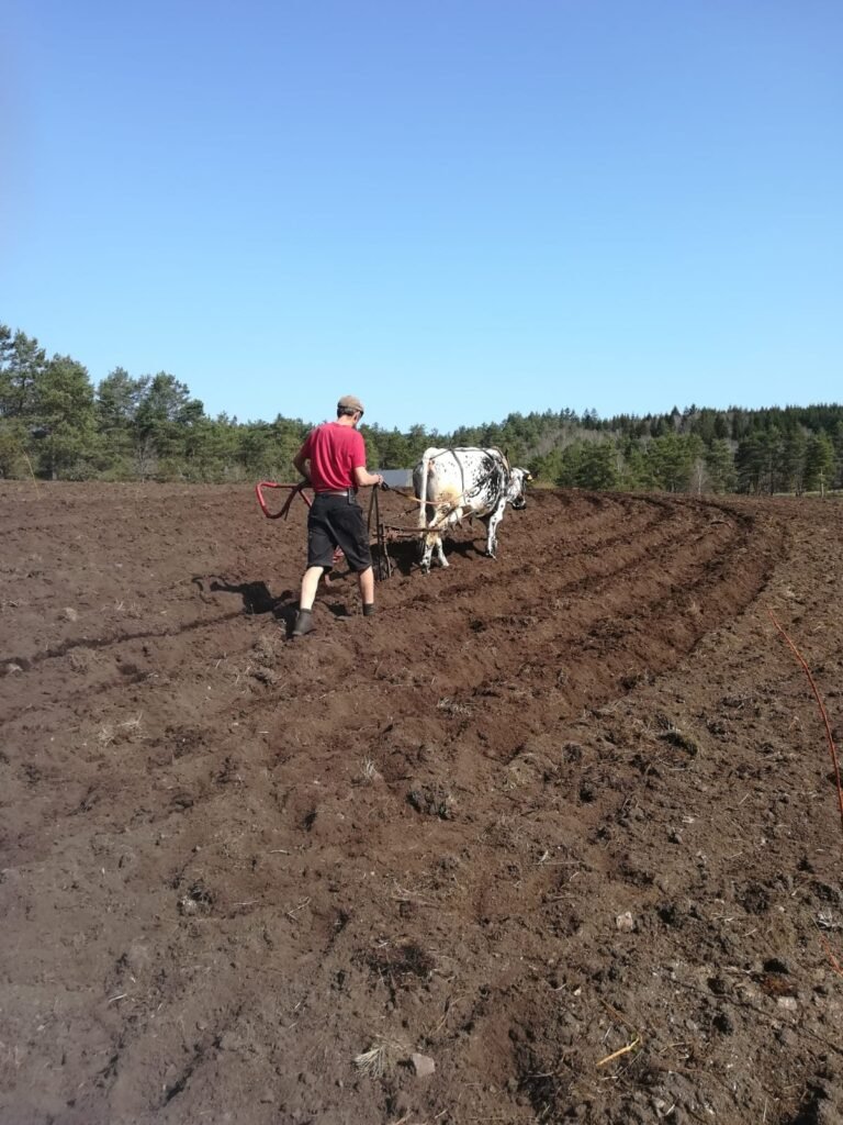 FORMATION PASCAL DURAND 2022 (2)