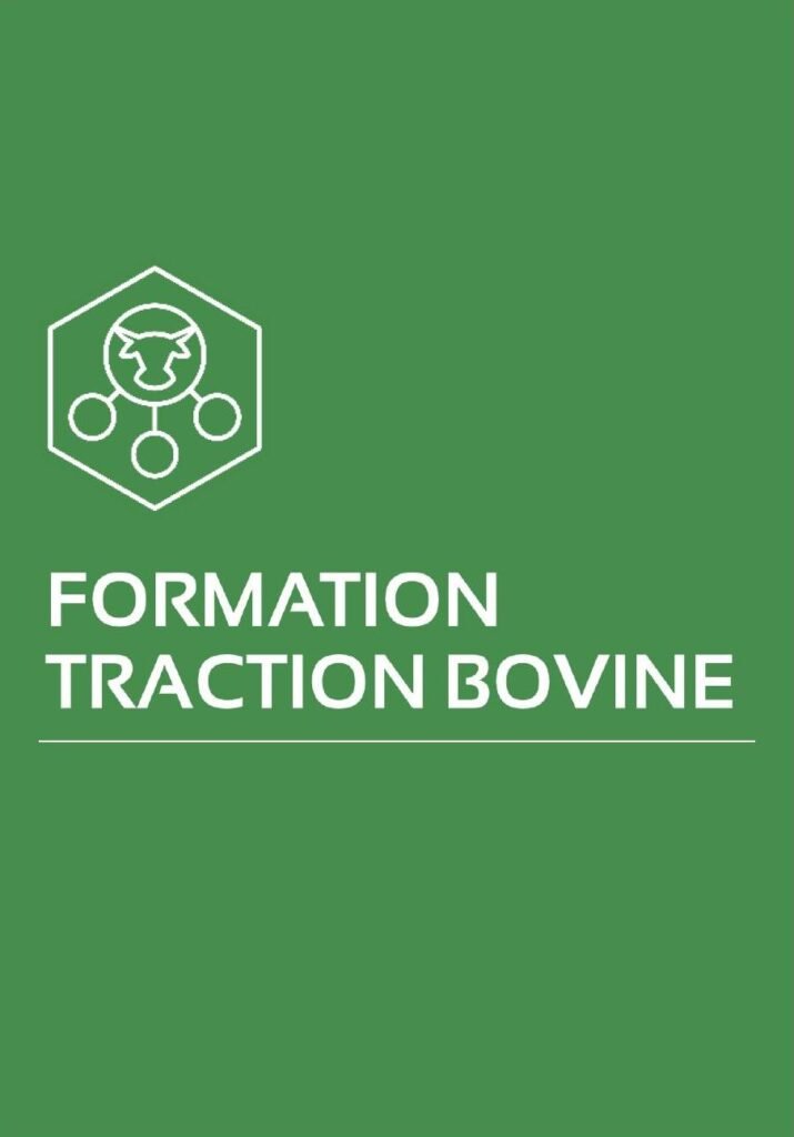 formation laurent martin 2