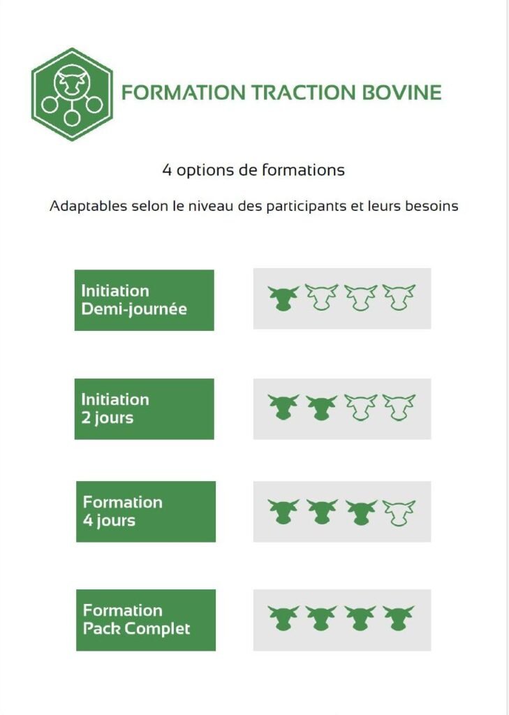 formation laurent martin 3