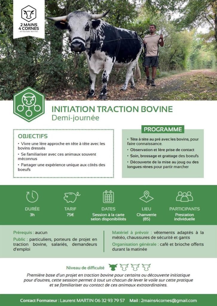 formation laurent martin 4