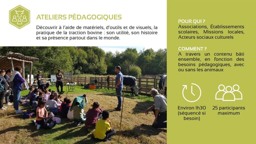 plaquette 2 mains 4 cornes 8