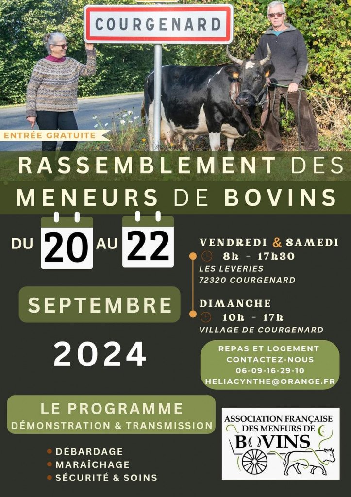 FB_IMG_1724091957534