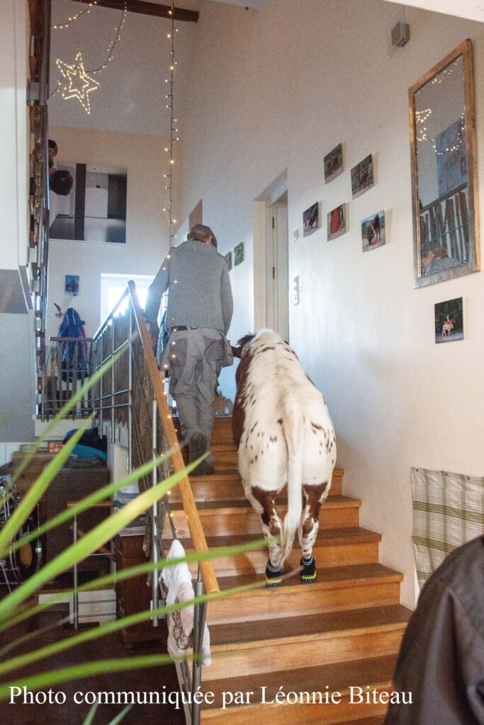 Léonnie Biteau-8048