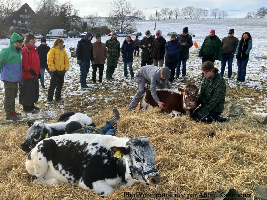 observation et explication