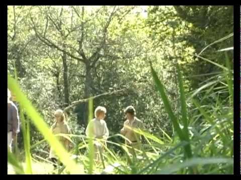 Image de prévisualisation YouTube