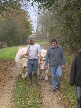 Premier liage de Vérité et Valentie