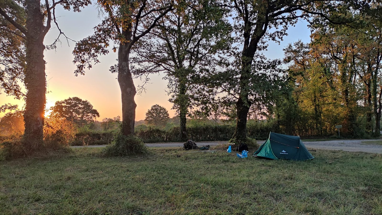 Aucune description de photo disponible. - La corne rose - Le voyage de Léonnie, Safran, et Bouleau 2023