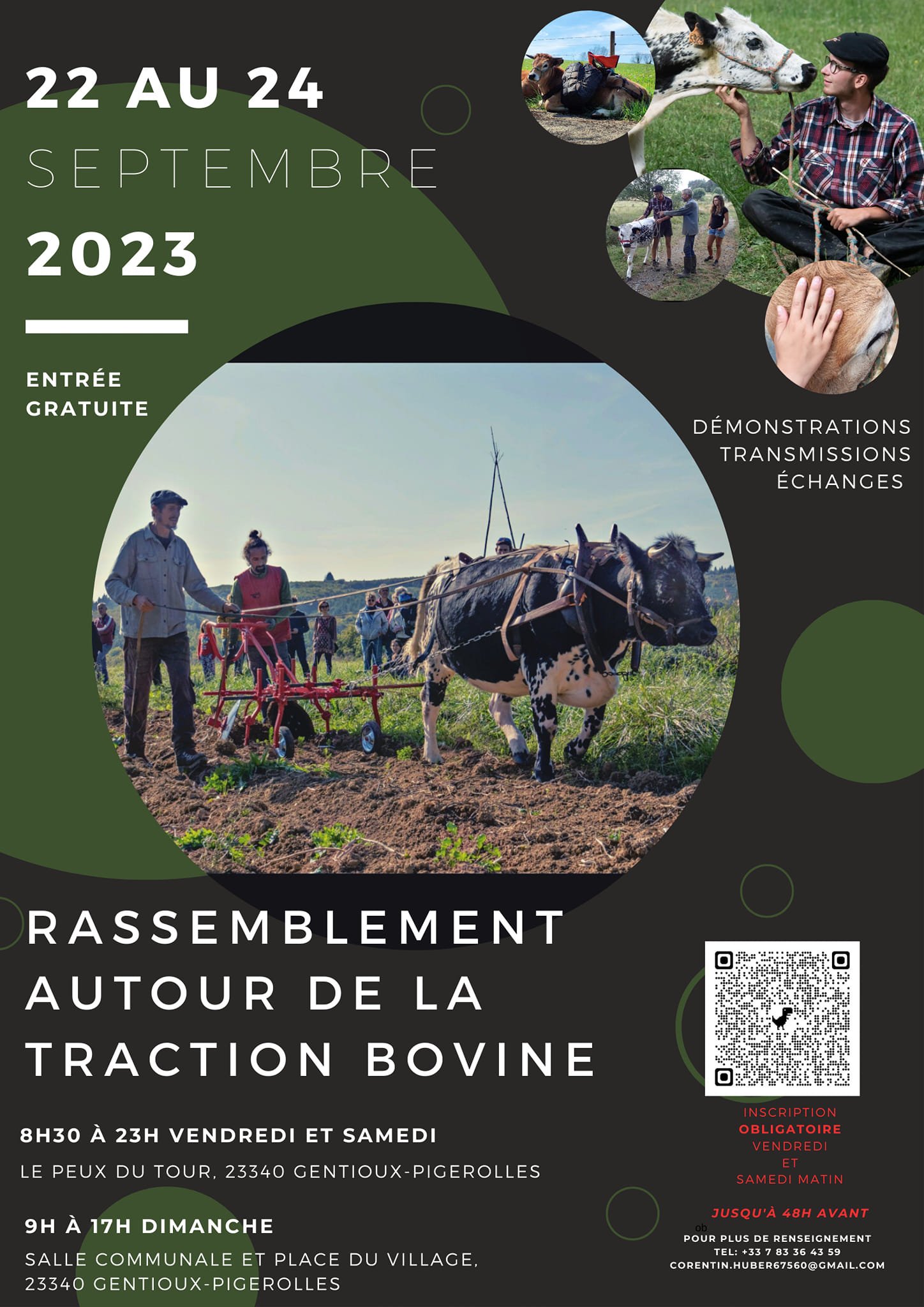 Aucune description de photo disponible. - La corne rose - Le voyage de Léonnie, Safran, et Bouleau 2023