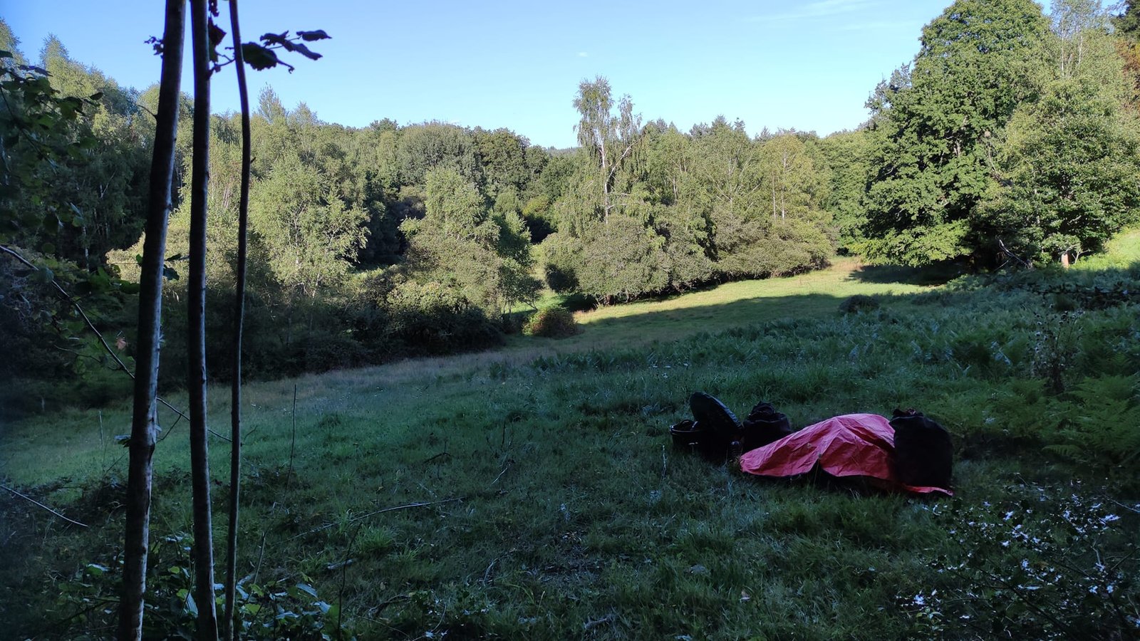 Aucune description de photo disponible. - La corne rose - Le voyage de Léonnie, Safran, et Bouleau 2023