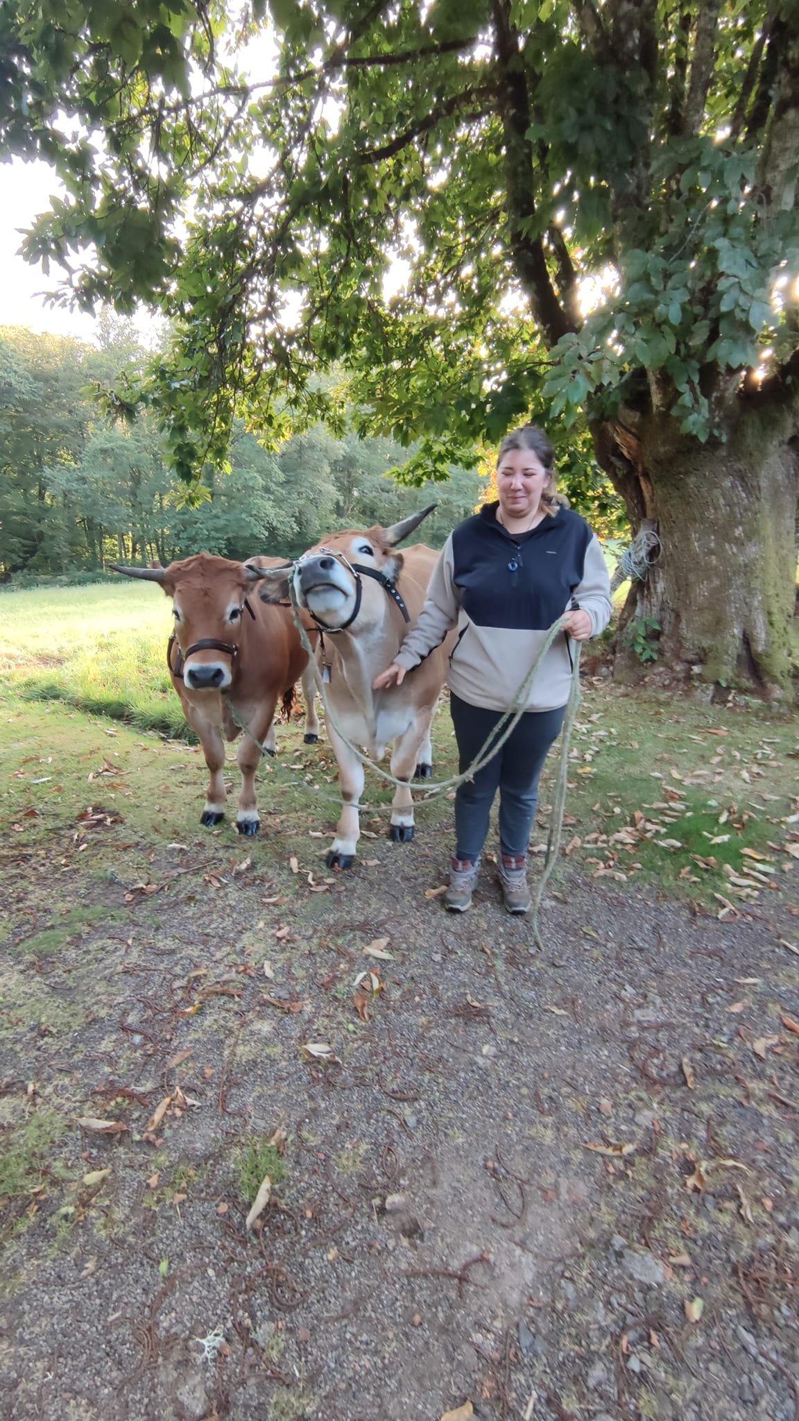 Aucune description de photo disponible. - La corne rose - Le voyage de Léonnie, Safran, et Bouleau 2023