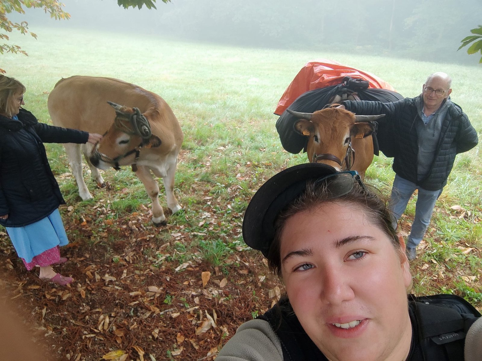 Aucune description de photo disponible. - La corne rose - Le voyage de Léonnie, Safran, et Bouleau 2023