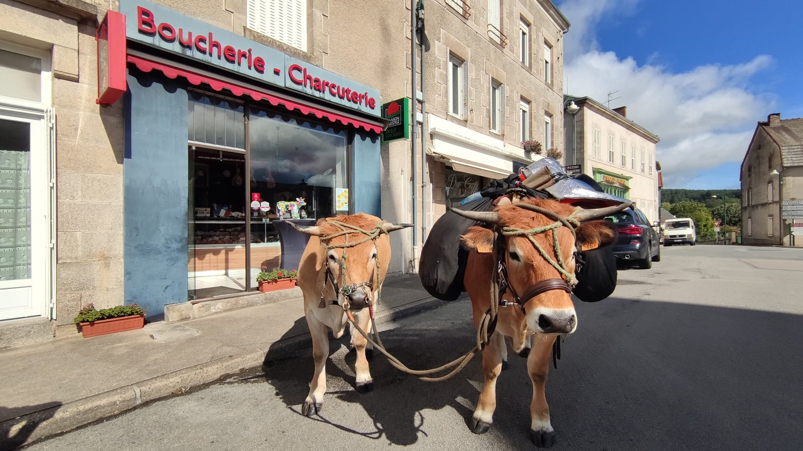 Aucune description de photo disponible. - La corne rose - Le voyage de Léonnie, Safran, et Bouleau 2023