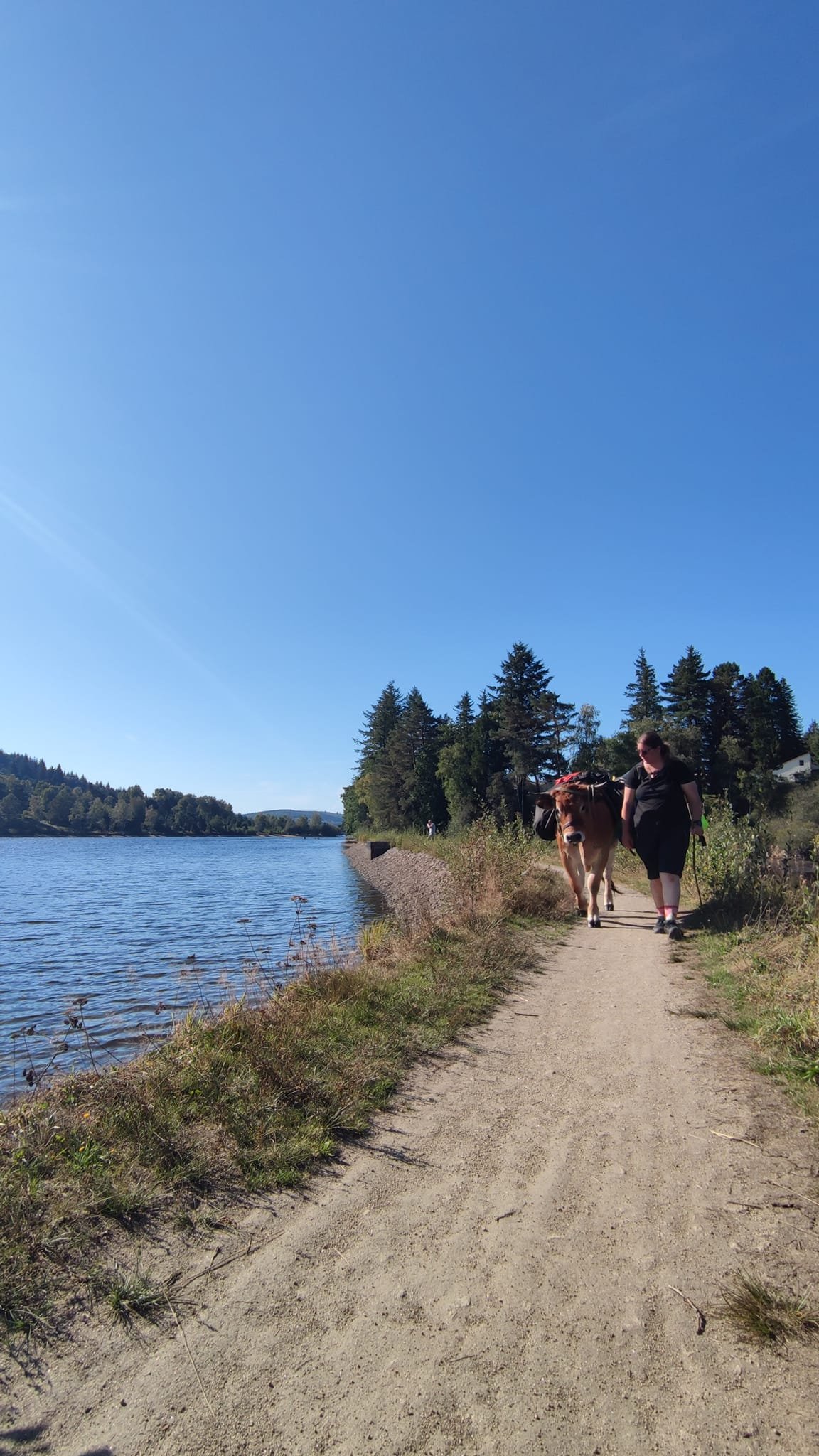 Aucune description de photo disponible. - La corne rose - Le voyage de Léonnie, Safran, et Bouleau 2023