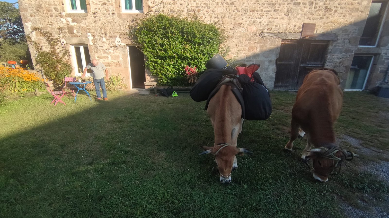 Aucune description de photo disponible. - La corne rose - Le voyage de Léonnie, Safran, et Bouleau 2023