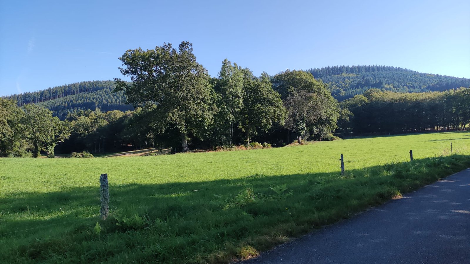 Aucune description de photo disponible. - La corne rose - Le voyage de Léonnie, Safran, et Bouleau 2023