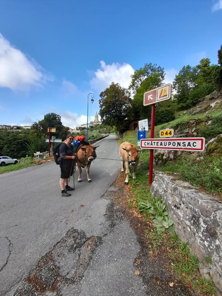 Aucune description de photo disponible. - La corne rose - Le voyage de Léonnie, Safran, et Bouleau 2023