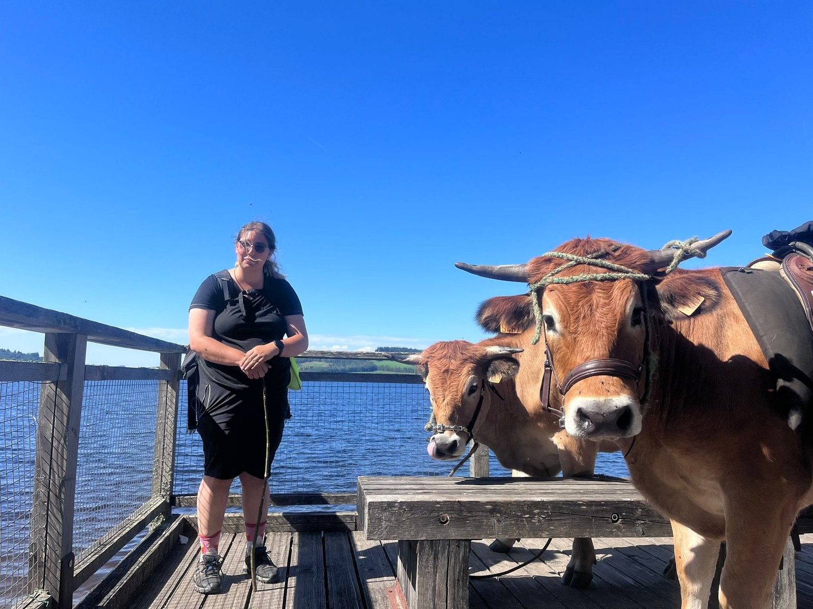 Aucune description de photo disponible. - La corne rose - Le voyage de Léonnie, Safran, et Bouleau 2023