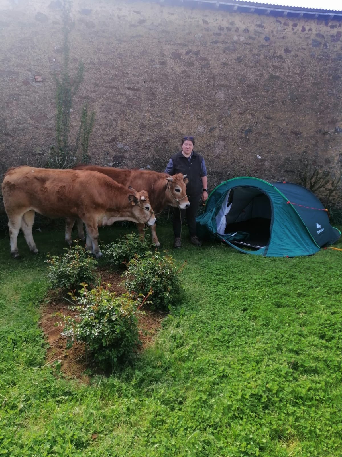 Aucune description de photo disponible. - La corne rose - Le voyage de Léonnie, Safran, et Bouleau 2023