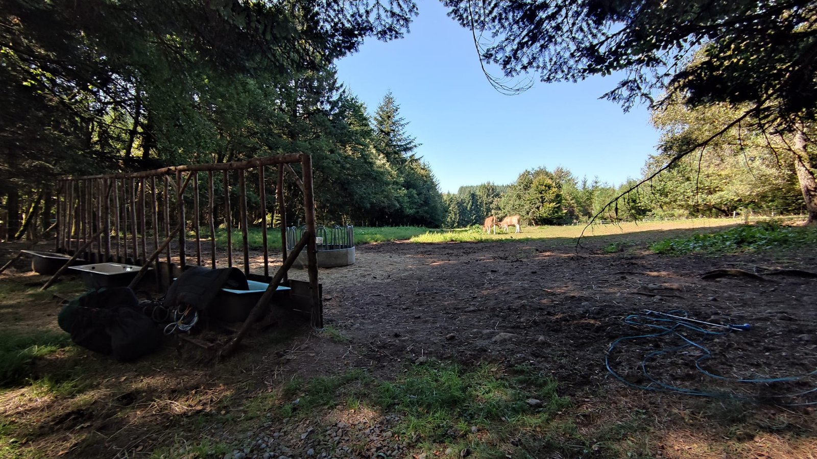 Aucune description de photo disponible. - La corne rose - Le voyage de Léonnie, Safran, et Bouleau 2023