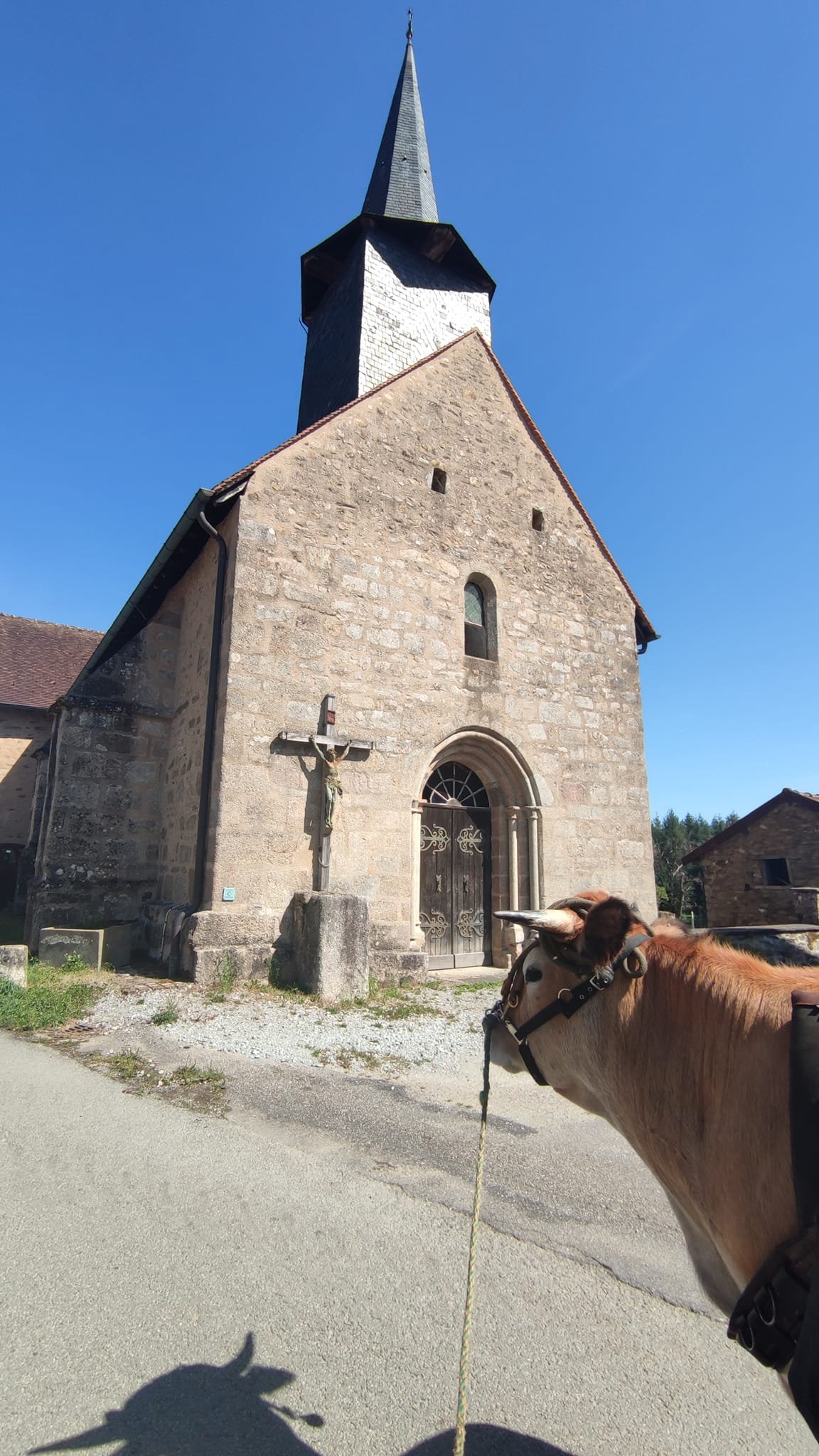 Aucune description de photo disponible. - La corne rose - Le voyage de Léonnie, Safran, et Bouleau 2023