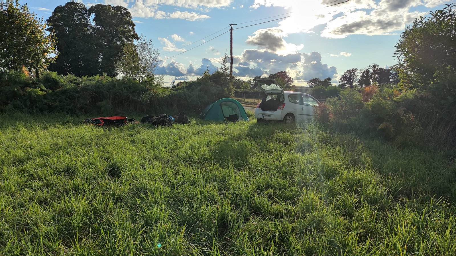 Aucune description de photo disponible. - La corne rose - Le voyage de Léonnie, Safran, et Bouleau 2023