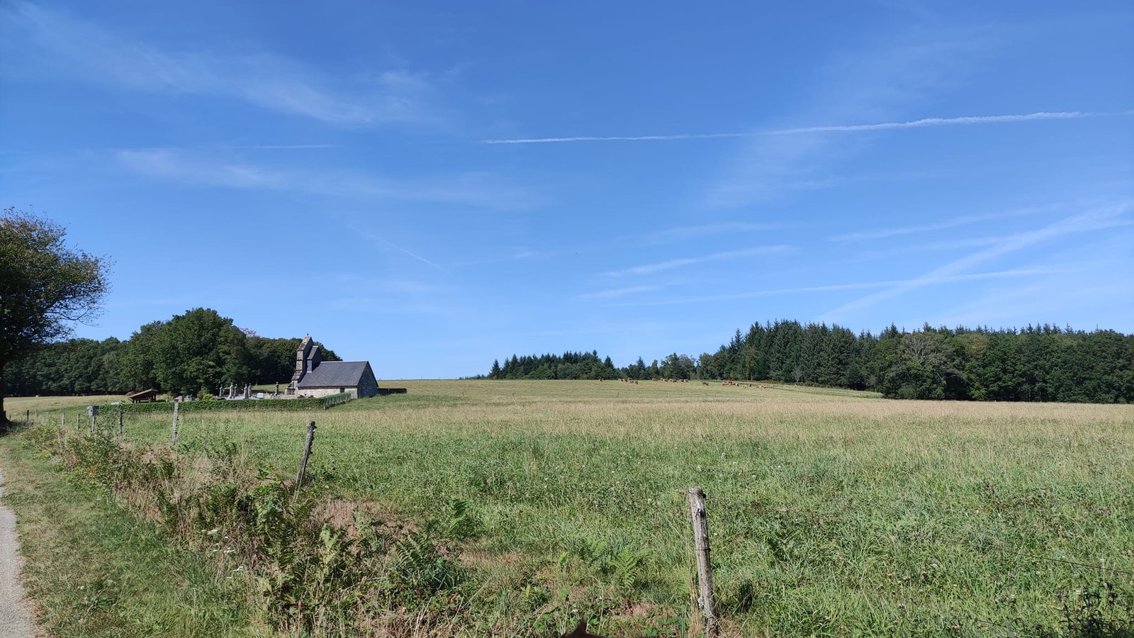 Aucune description de photo disponible. - La corne rose - Le voyage de Léonnie, Safran, et Bouleau 2023