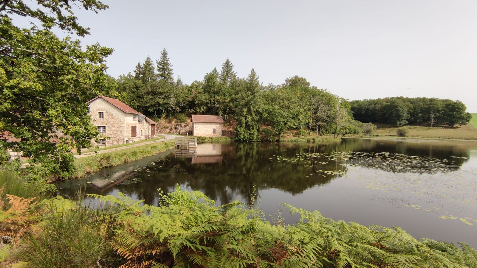 Aucune description de photo disponible. - La corne rose - Le voyage de Léonnie, Safran, et Bouleau 2023