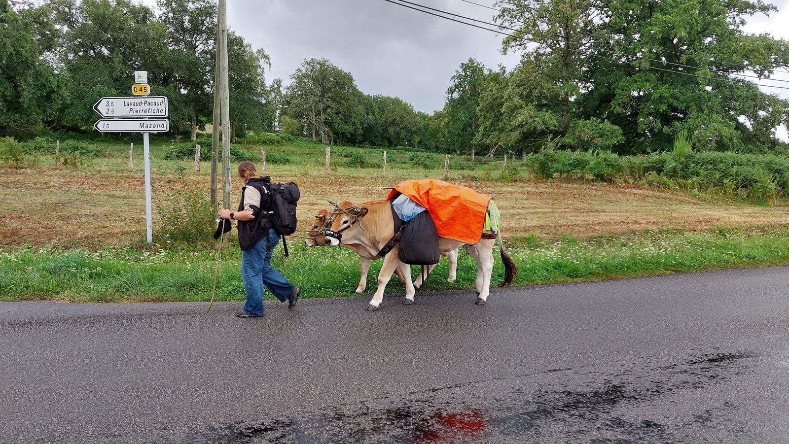 Peut être une image de 1 personne et route - La corne rose - Le voyage de Léonnie, Safran, et Bouleau 2023
