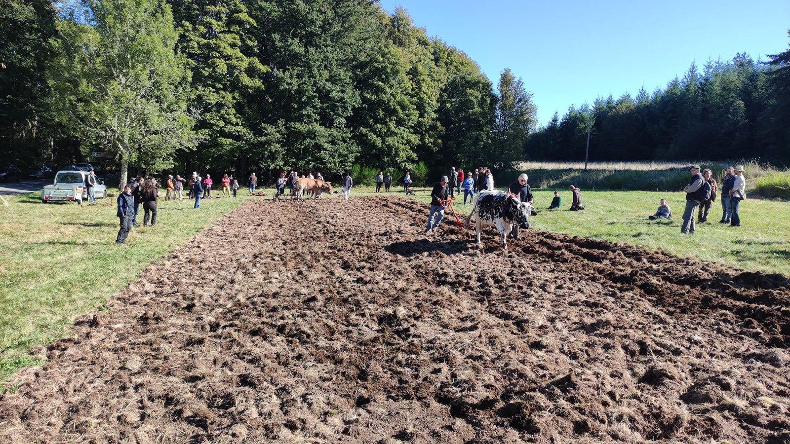 - Suite du voyage de Léonnie Biteau avec le rassemblement des meneurs de bovin 2023 (23)